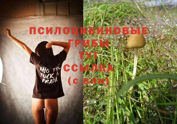 тгк Верея