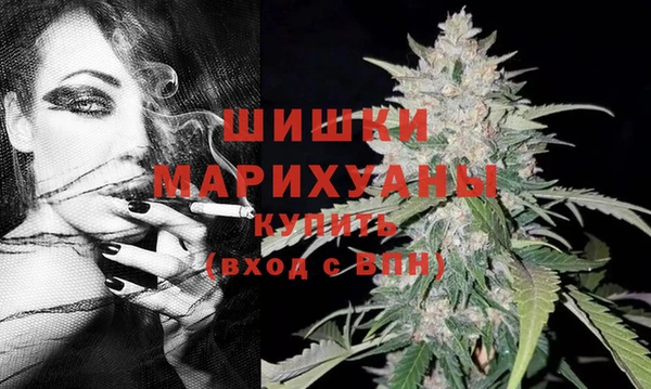 тгк Верея
