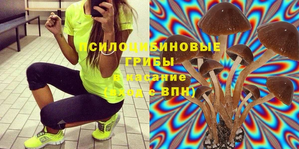 СК Верхний Тагил
