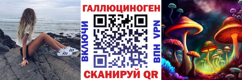 mega сайт  Владикавказ  Галлюциногенные грибы Psilocybine cubensis 