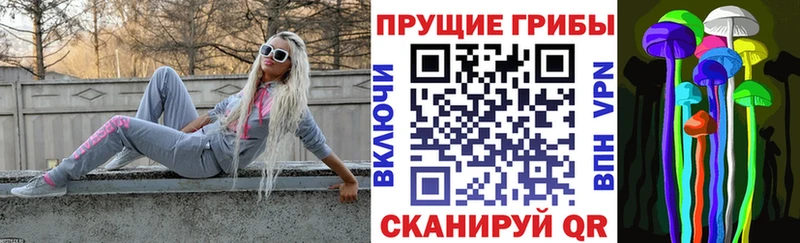 Псилоцибиновые грибы GOLDEN TEACHER Владикавказ
